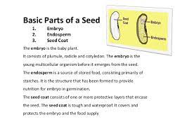 Defintions of gone to seed not found. Seed Seed Types And Seed Quality