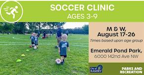Soccer Clinics