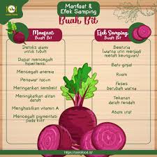 Kelompok ini mencakup usaha pertanian hortikultura sayuran buah mulai dari kegiatan pengolahan lahan, penanaman, pemeliharaan, juga pemanenan dan pasca panen jika menjadi satu kesatuan kegiatan tanaman hortikultura buah yang dipakai sebagai sayuran (labu), seperti mentimun, terung, tomat, belimbing sayur dan labu sayur (siam), waluh/labu kuning, … 8 Manfaat Buah Bit Serta Efek Sampingnya Cairo Food