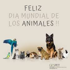 Maybe you would like to learn more about one of these? Feliz Dia Mundial De Los Animales Diamundialdelosanimales Www Gespet Com Dia Mundial Del Animal Mascotas Perros