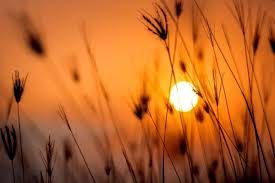 The essence of verano learning partners is a shared dedication, passion, and commitment to elevating learning opportunities for students. Solsticio De Verano De 2021 Hemisferio Norte Y Sur Dia Y Hora