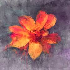 The diagram below shows the 6 major colors on the color wheel. Red And Yellow Flower Painting Flowers Plants Leaves Artwork Hd Wallpaper Wallpaper Flare