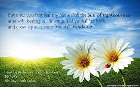 Image result for images The Sun of Righteousness