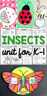 This bugs and insects math and literacy pack contains 17 worksheets and 8 centers that are sure to engage your learners while strengthening the following skills please note that the bug and insect center activities are designed to be printed (on cardstock) and laminated, and to be used and. Insects Unit For Kindergarten And First Grade Primary Theme Park