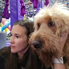 Las Vegas Circus Center