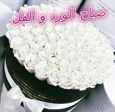 صباح الورد و الفل Cake Birthday Cake Vanilla Cake