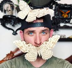 Our Story — Cronk Art & Curiosities