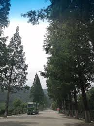 pin by l sj on 2020 my village life 東錢湖陶公村誌 country roads road country