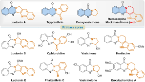 Image result for Anisotes sessiliflorus