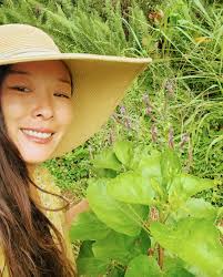 Check out Treehouse Farmstand in HPP