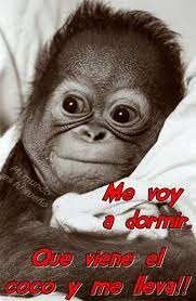 Me voy a dormir corriendo. 49 Imagenes Divertidas Con Frases De Buenas Noches Para Whatsapp Fraseshoy Org