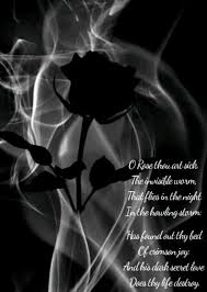 The Sick Rose Sick Poems Secret Love