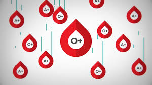 Image result for Blood Type