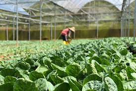Farming 101 - How To Be A Farmer - Step By Step Guide - Wikifarmer