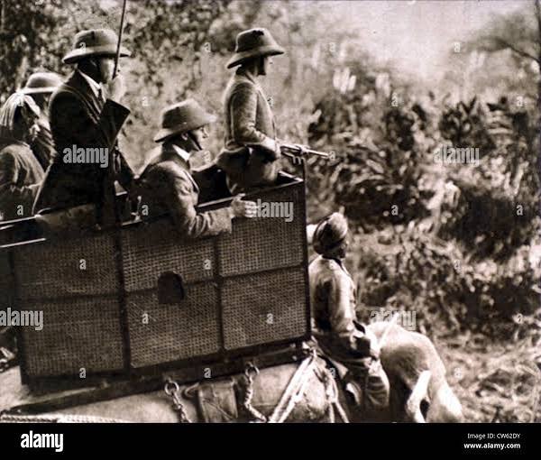 Prince of wales hunting tiger in nepal hi-res stock photography and images - Alamy