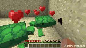 If the turtles are not at their home beach, they will try to swim there before digging and laying their eggs. How To Breed Turtles In Minecraft