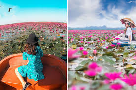 To be a brand loved for great quality at affordable prices. Thailand S Red Lotus Lake Is One Of The World S Most Insta Worthy Destinations Lifestyle Rojak Daily