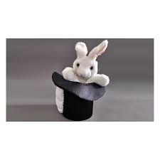 Maybe you would like to learn more about one of these? Tours De Magie Lapin Dans Le Chapeau Tora Magic Trick Magie Directe