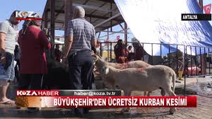 Antalya Buyuksehir Belediyesinden Ucretsiz Kurban Kesimi Youtube