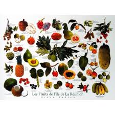 Un Poster Des Fruits Creoles Jade Edition Un Classique A Offrir Fruit De La Reunion La Reunion Fruits