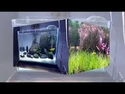 Membuat Aquarium Bagus Dengan Modal 100 Ribu Youtube Di 2020 Akuarium Aquarium