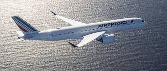 En plus des renseignements personnels et concernant le voyage, le formulaire propose de choisir entre différents moyens de remboursement : Air France Met A Jour Son Programme De Vols Pour Novembre Et Decembre 2020 Air France Corporate