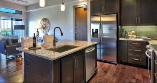 the latest top kitchen faucet trends