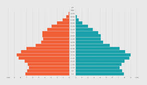 How To Make An Animated Pyramid Chart With D3 Js Flowingdata