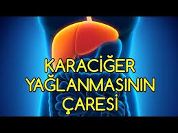 Karaciger Yaglanmasinin Caresi Burada Youtube Egzersiz Doktorlar Saglik