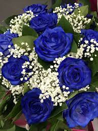 Buon compleanno con fiori blu. Pin Su Fiori Bouquet E Composizioni Floreali