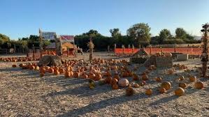 All the cars in the range and the great historic cars, the official ferrari dealers, the online store and the sports activities of a brand that has. Ferrari Farm Fall Festival Fun For The Whole Family Krxi