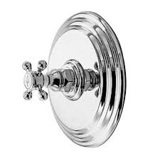 Maybe you would like to learn more about one of these? Alveston Balanced Pressure Shower Trim Plate With Handle Less Showerhead Arm And Flange 4 924bp Newport Brass