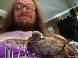 This sweet little brown bird,enjoying some food,even if the food is a bit  soggy ..lol..xx