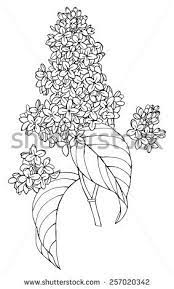 Set Lilac Bouquet Black White Stock Vector 257020342 Shutterstock Flower Drawing Flower Line Drawings Flower Drawing Tutorials