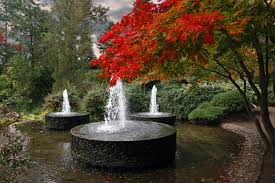 Am botanischen garten 1a, 50735 köln öffnungszeiten: Forstbotanischer Garten Koln Wikipedia