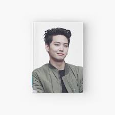 Eunjae lee • 핀 17개. Notizbucher Koreanisch Redbubble