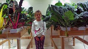 Top 7 leds of 2020; Led Grow Light Buyer S Guide Chilled Tech Led Grow Lights Spectrum Control