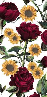 Download beautiful, curated free backgrounds on unsplash. Hd Roses Sunflowers Wallpapers Peakpx
