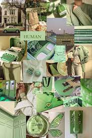 Kool Kitty Musings In 2021 Sage Green Wallpaper Mint Green Aesthetic Iphone Wallpaper Green