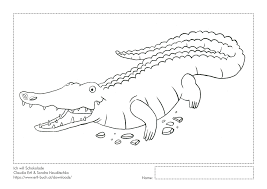 Downloads Ertl Buch