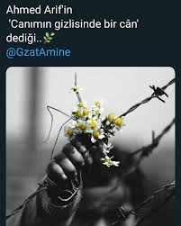 Resimli Alintilar Guzel Soz Romantik Ask Sozleri