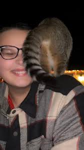 Does anyone remember the Bama Drive in theater and Harris mobile home park?