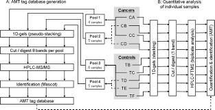 Die universität potsdam punktet mit einer besonderen vielfalt an studienmöglichkeiten und einem ausgeprägten interdisziplinären forschungsprofil. Identification Of Cellular Targets In Human Intrahepatic Cholangiocarcinoma Using Laser Microdissection And Accurate Mass And Time Tag Proteomics Molecular Cellular Proteomics