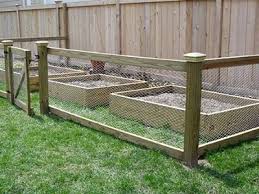 Chicken Wire Mesh Used In Garden As Fence Raised Bed Trellis In 2020 Chicken Wire Fence Raised Bed Fencing Chicken Wire