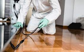 Affordable Pest Control Archives Istriadalmaziacards