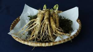 Lebih dari skedar stimulasi di racik dengan tangan pemuda. Kimo Suplemen Membawa Manfaat Ginseng Merah Korea Dan Ginseng Ashwaganda Lifestyle Liputan6 Com