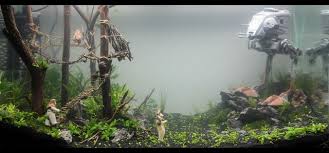 Image Result For Star Wars Aquarium Amazing Aquariums Aquarium Aquascape