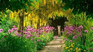 Beautiful Home Flower Gardens Wallpaper Beautiful Gardens Plants Easy Garden