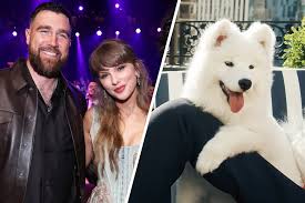 Meet Taylor Swift and Travis Kelce's new dog. She's already a model.