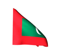 We did not find results for: Flag Maldives Animated Flag Gif